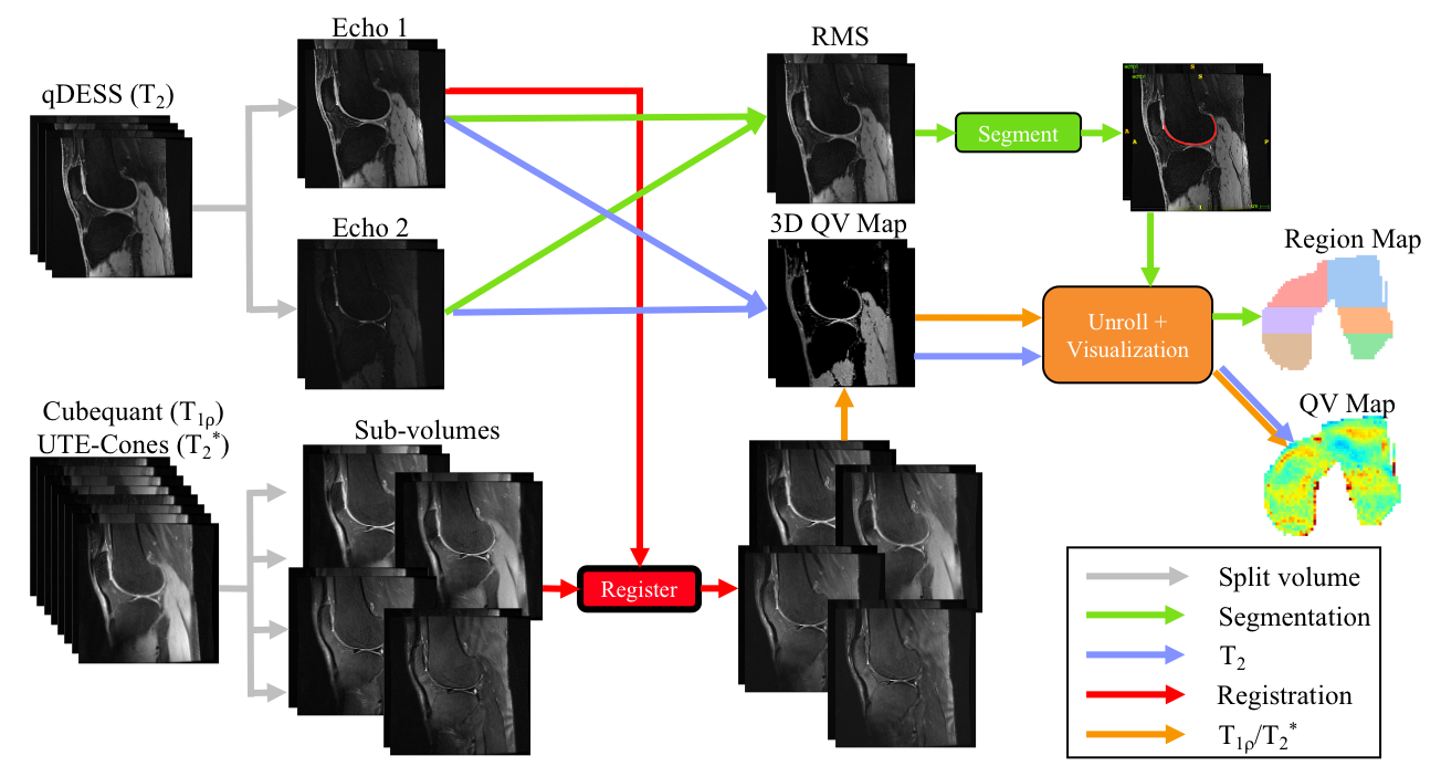 Example workflow for analyzing multiple scans per patient