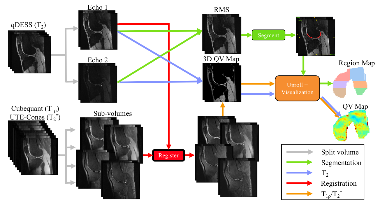 Example workflow for analyzing multiple scans per patient